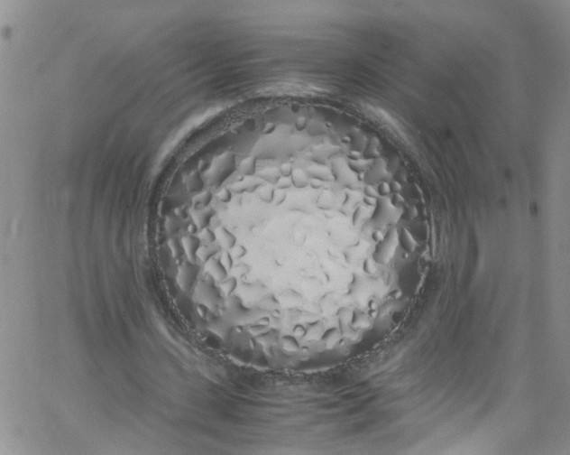 X0000062800531200601121343