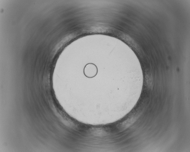 X0000062800534200601121343