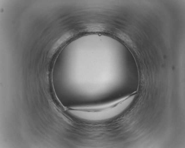 X0000062800535200601121343