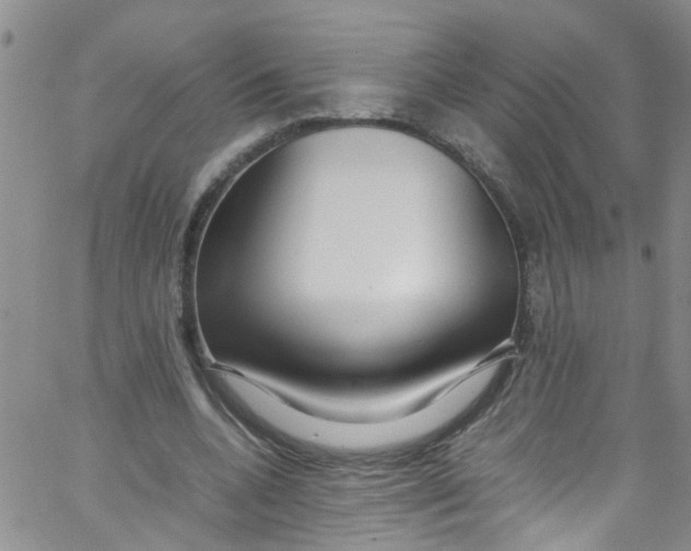 X0000062800536200601121343