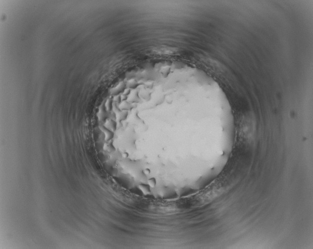 X0000062800559200601121343