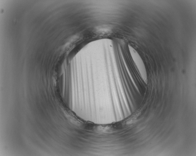 X0000062800570200601121343