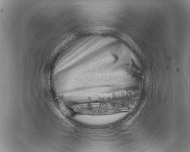 X0000062800585200601121342