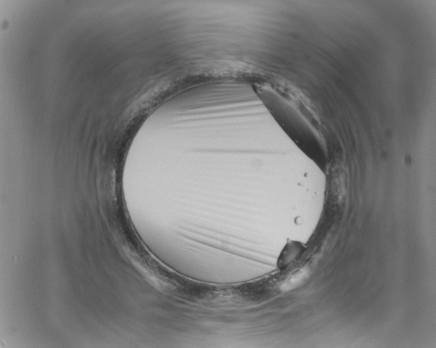 X0000062800589200601121342