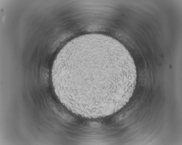 X0000062800592200601121342