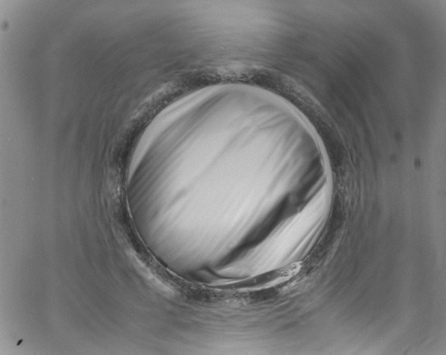 X0000062800593200601121342