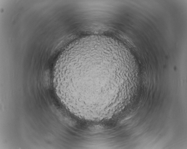 X0000062800594200601121342