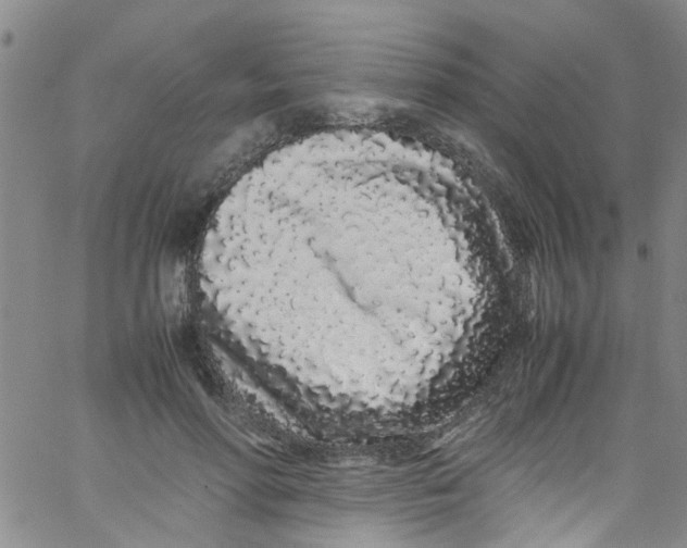 X0000062800598200601121342