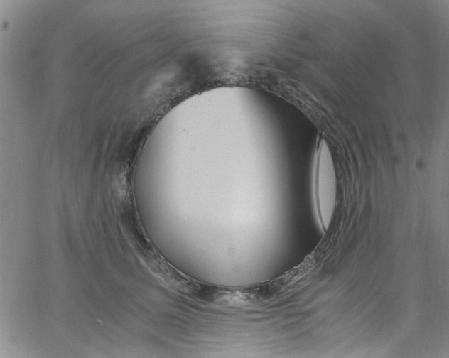 X0000062800611200601121342