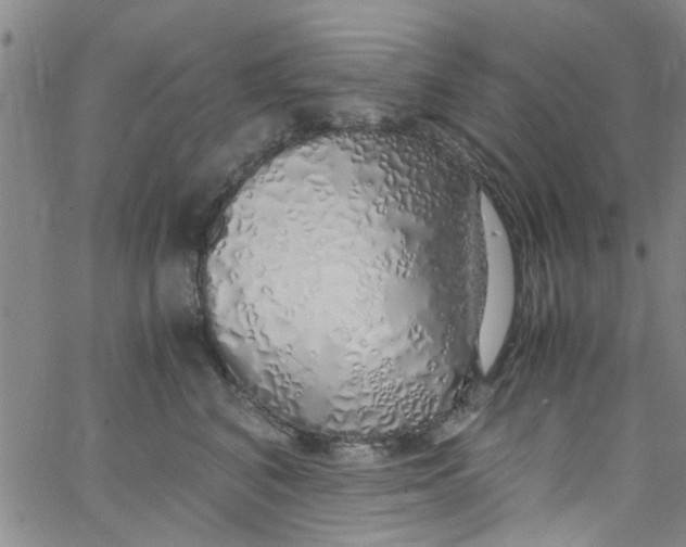 X0000062800616200601121342