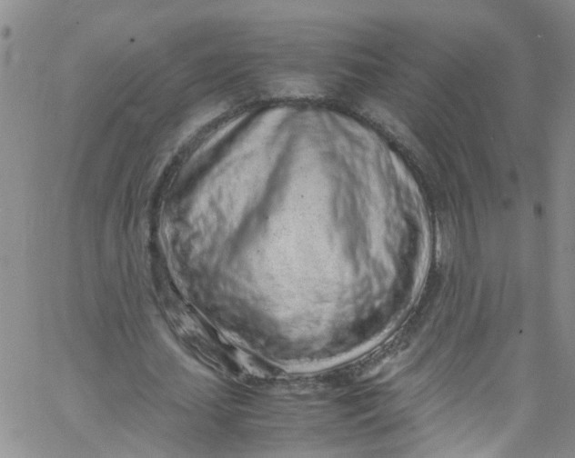 X0000062800627200601121341
