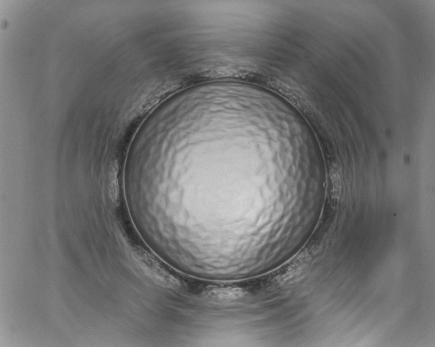 X0000062800642200601121341
