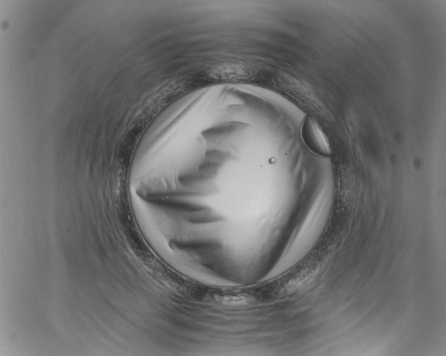X0000062800645200601121341