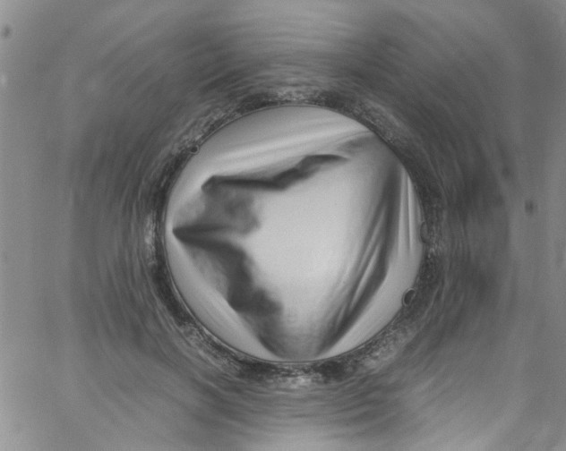 X0000062800646200601121341
