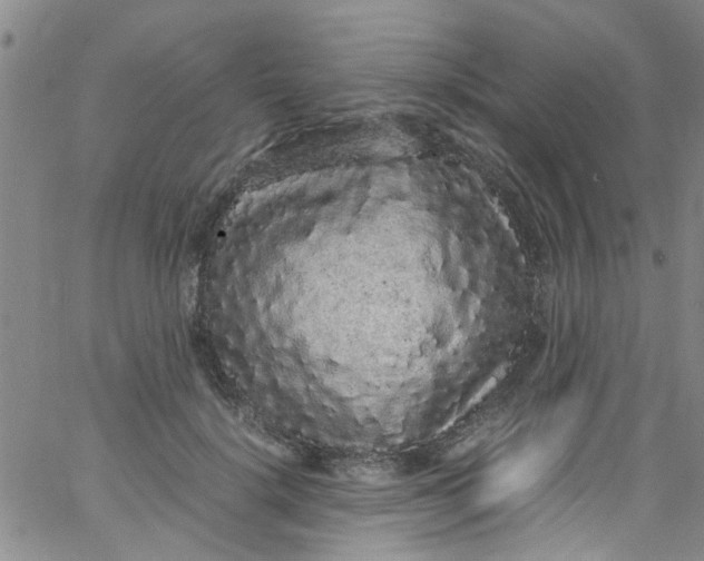 X0000062800652200601121341