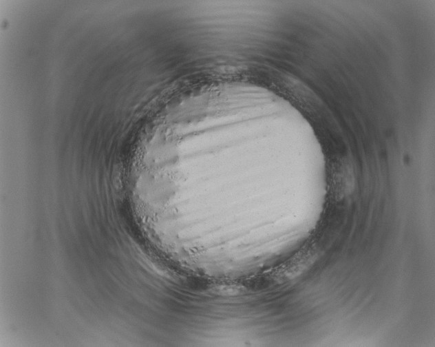 X0000062800654200601121341