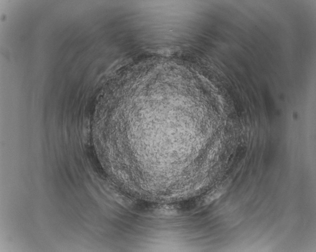 X0000062800656200601121342
