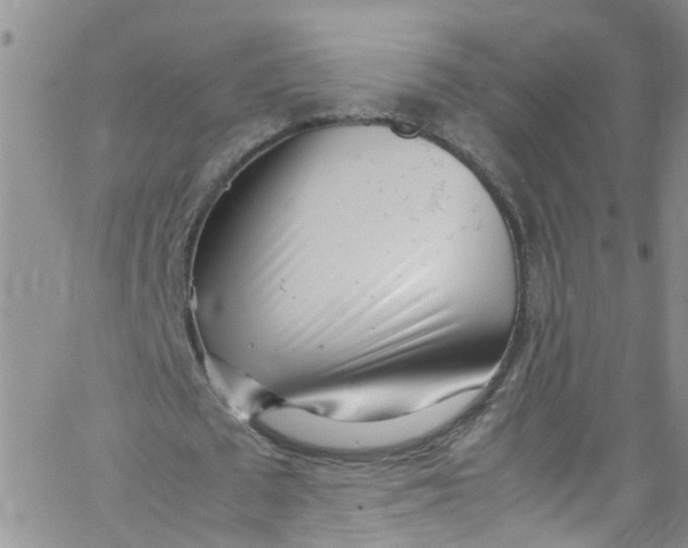 X0000062800673200601121341