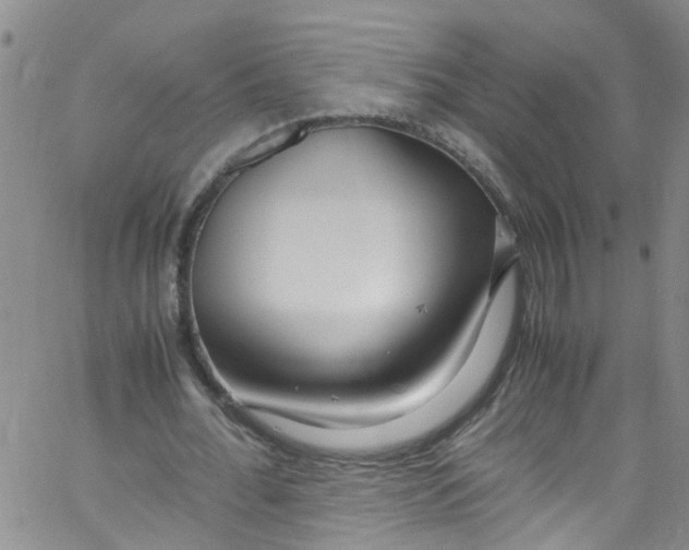 X0000062800676200601121341