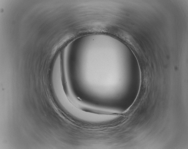 X0000062800677200601121341