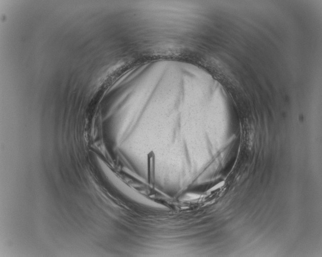 X0000062800692200601121341