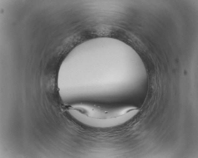 X0000062800697200601121341