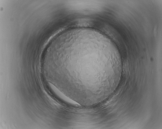 X0000062800722200601121339