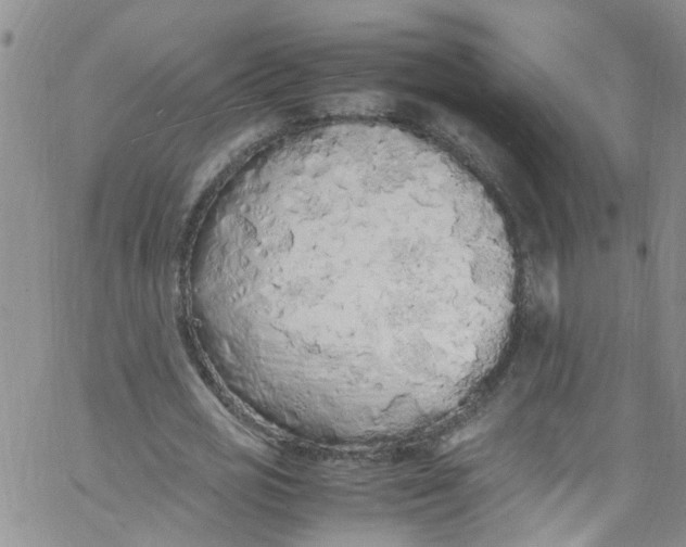 X0000062800725200601121339