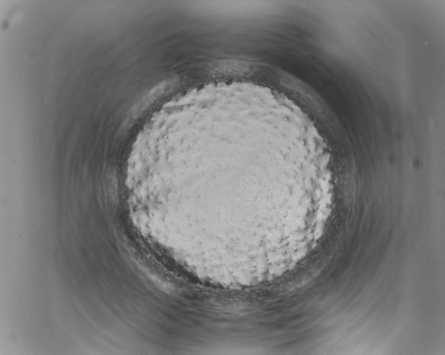 X0000062800729200601121340