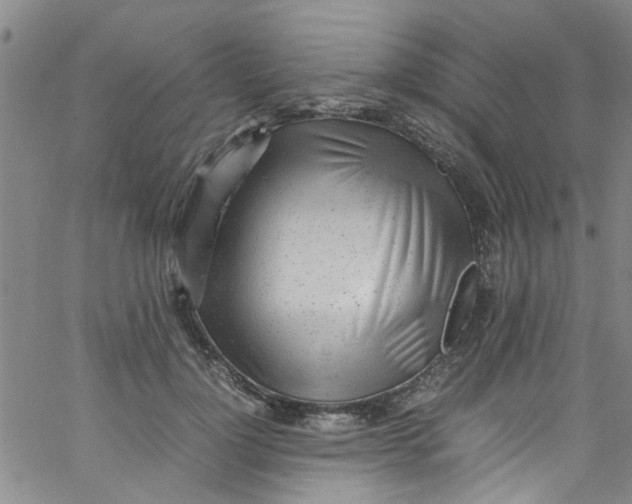 X0000062800748200601121340