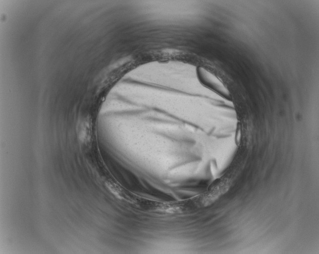 X0000062800760200601121340