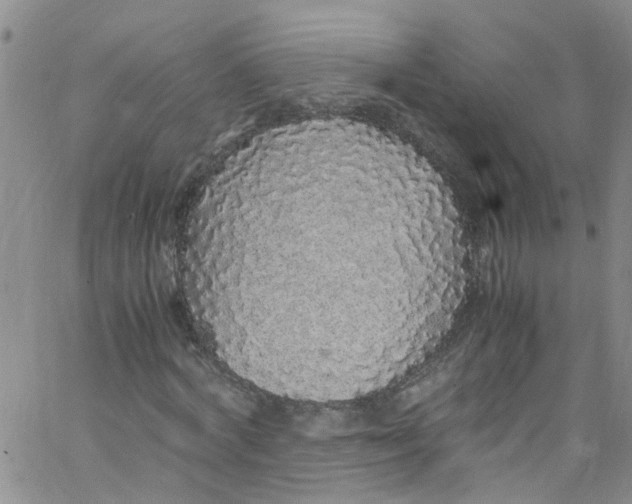 X0000062800772200601121339