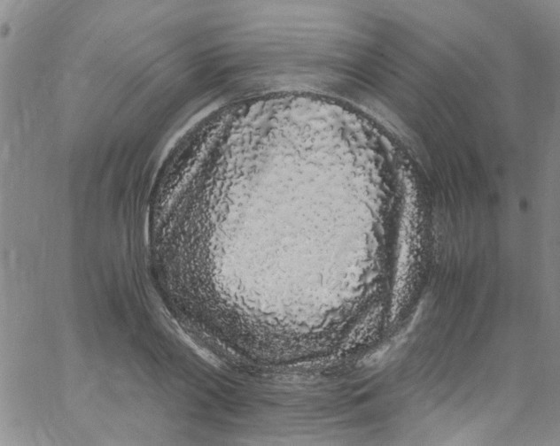 X0000062800790200601121339