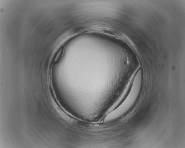 X0000062800795200601121339