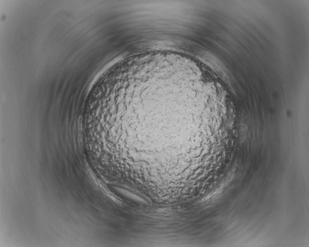 X0000062800798200601121339