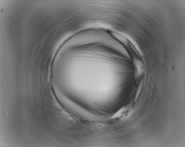 X0000062800815200601121339