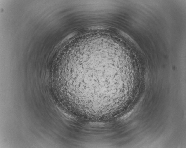 X0000062800825200601121338