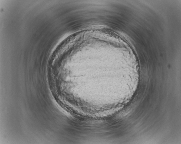 X0000062800851200601121338
