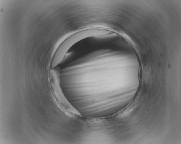 X0000062800862200601121338