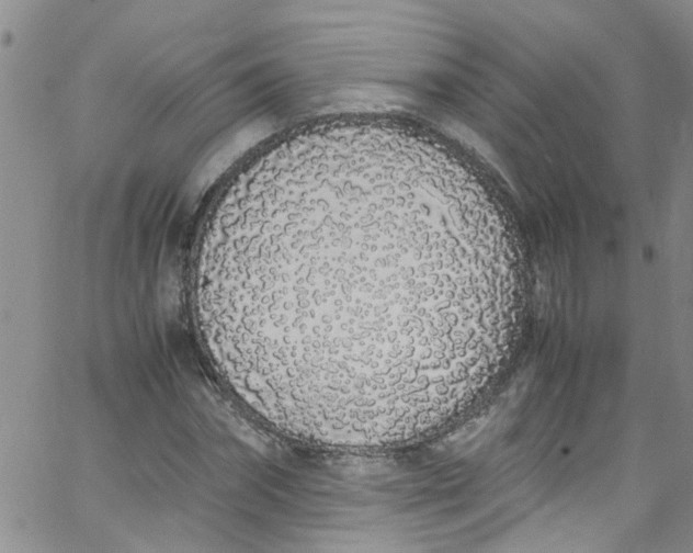 X0000062800874200601121338