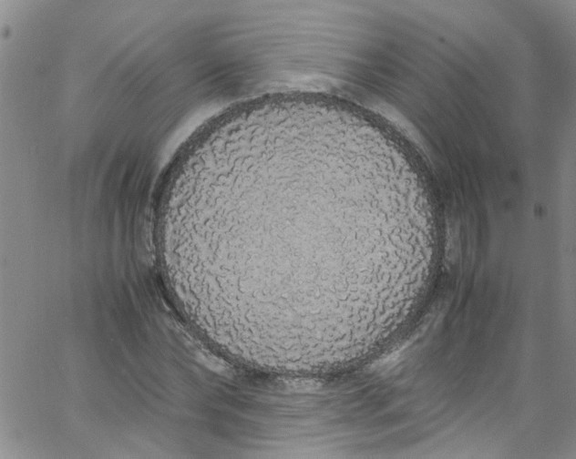 X0000062800878200601121337