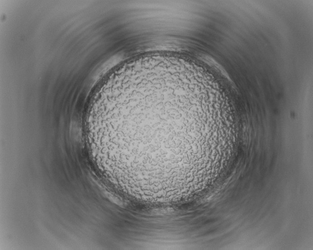 X0000062800882200601121337