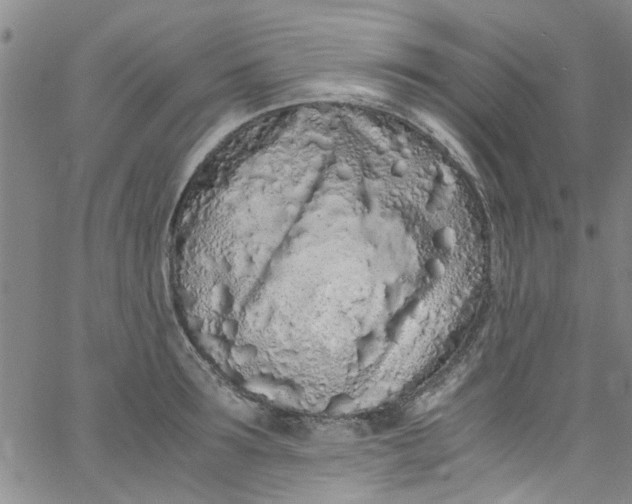X0000062800899200601121337