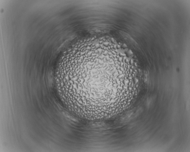 X0000062800915200601121336