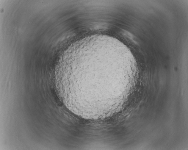 X0000062800917200601121336