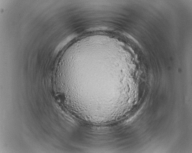 X0000062800921200601121336