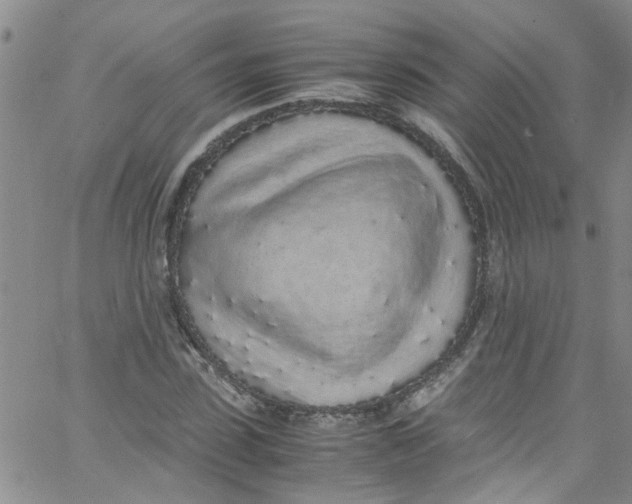 X0000062800923200601121336