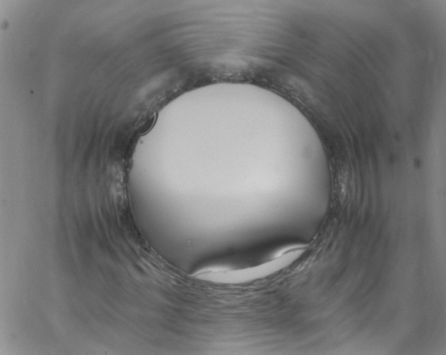 X0000062800964200601121336