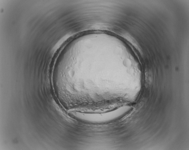 X0000062800972200601121336