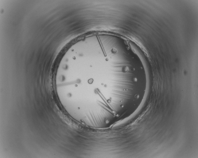 X0000062800976200601121336